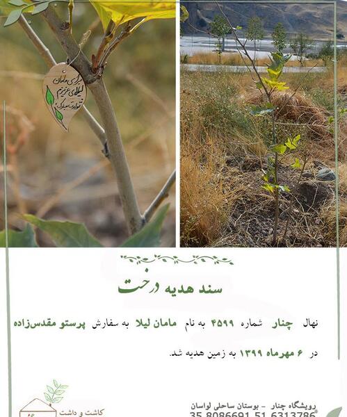 عکس نوشته مامان لیلا