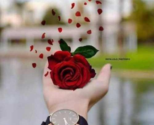 عکس زیبا و شیک برای پروفایل واتساپ