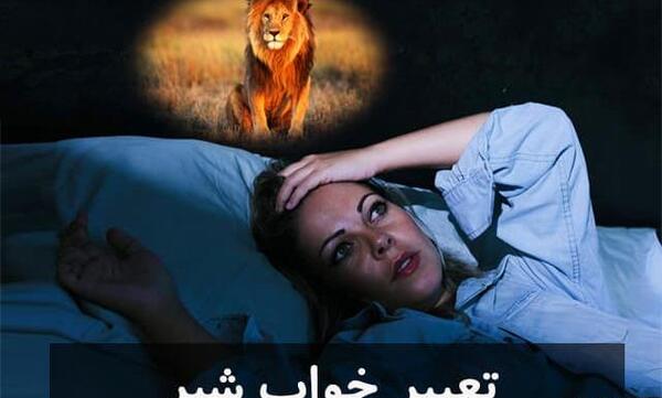 عکس شیر ضعیف