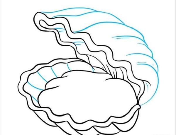 عکس صدف نقاشی