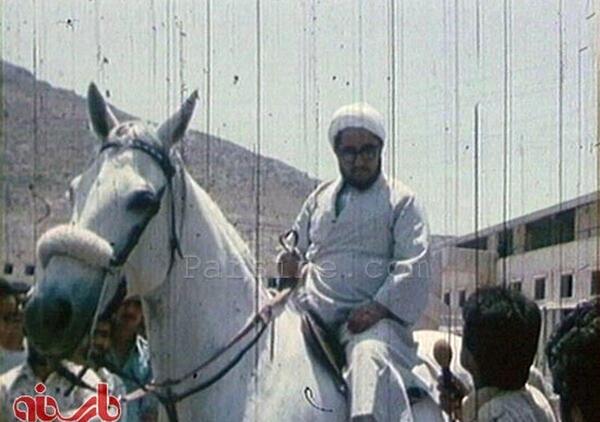 عکس اسب قزل