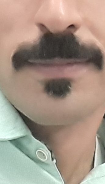 عکس مرد سیبیلو