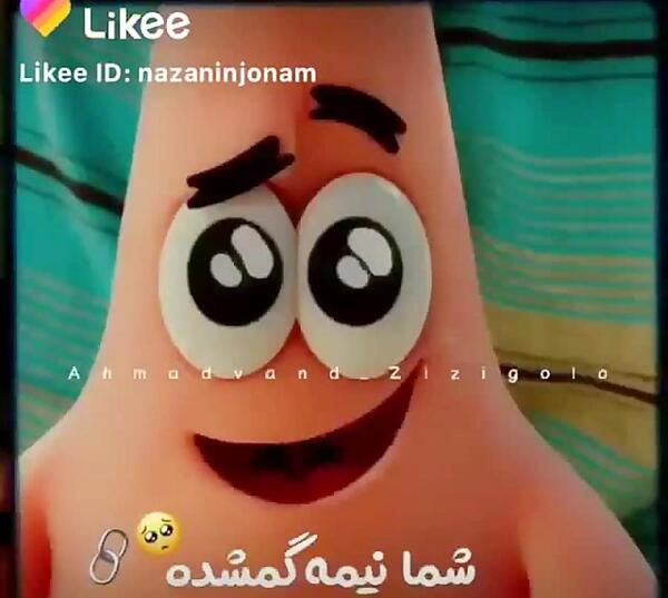 عکس کیوت لند