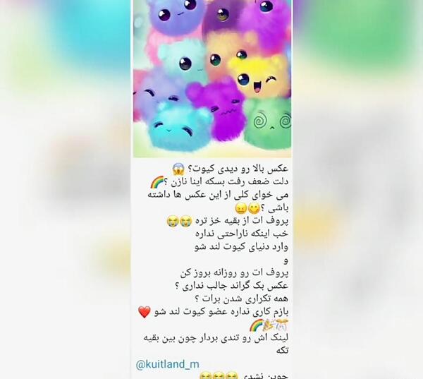 عکس کیوت لند