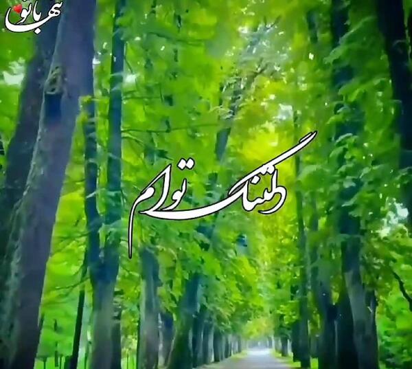 عکس نوشته دلتنگ توام که به داد دلم برسی