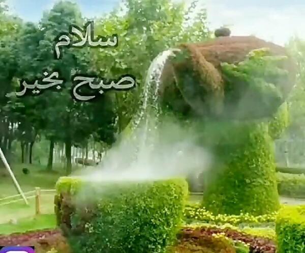 عکس زیبا از طبیعت صبح