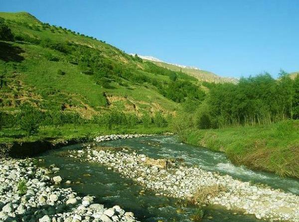 عکس زیبا از طبیعت صبح