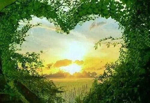 عکس زیبا از طبیعت صبح