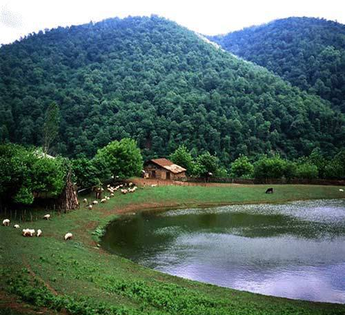 عکس زیبا از طبیعت صبح