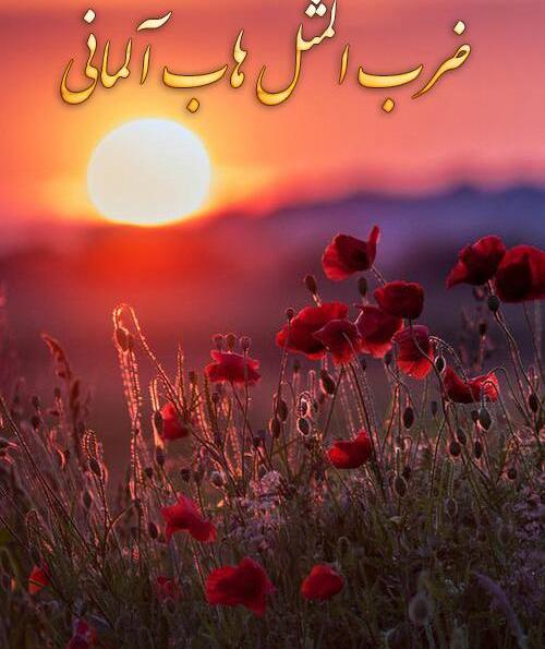 عکس نوشته زیبا به زبان المانی