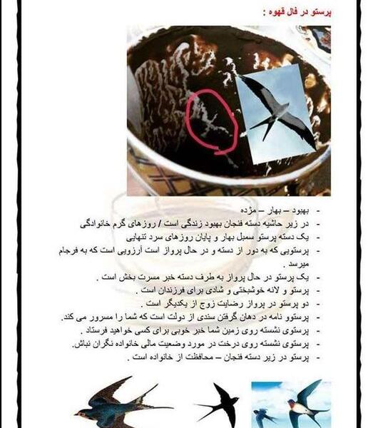عکس گل لاله در فال قهوه