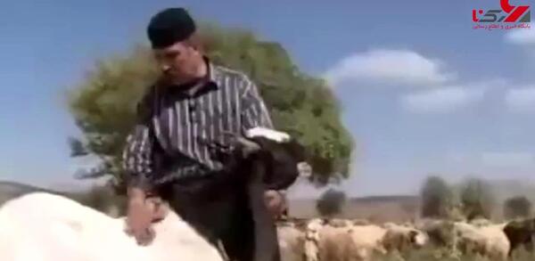 عکس محسن بزی