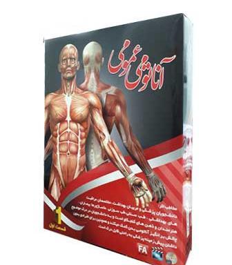 عکس تصویر آناتومی بدن انسان