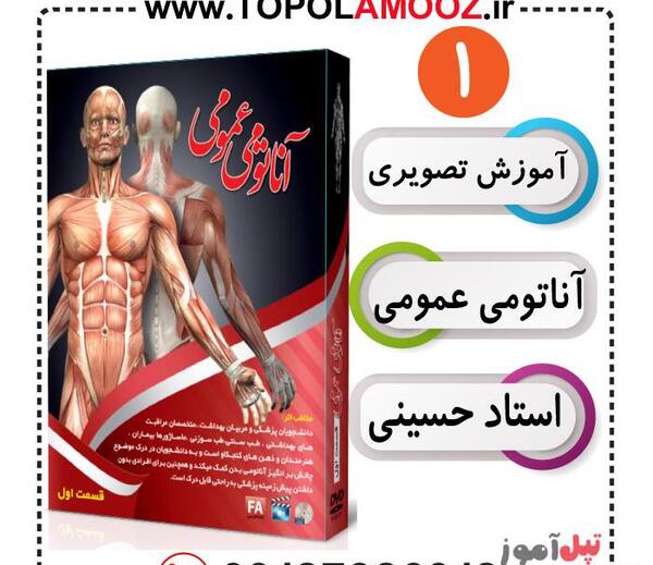 عکس تصویر آناتومی بدن انسان