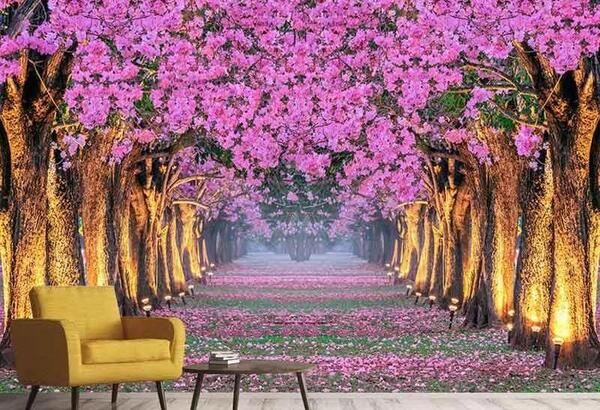 عکس منظره سه بعدی با کیفیت بالا