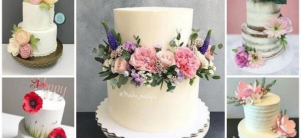 عکس کیک عقد کنان