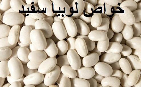 عکس لوبیای سفید