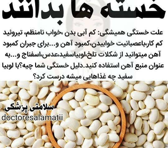 عکس لوبیای سفید