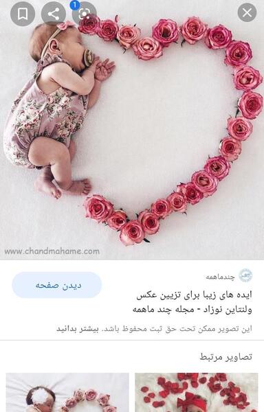 عکس نوزاد گل محمدی