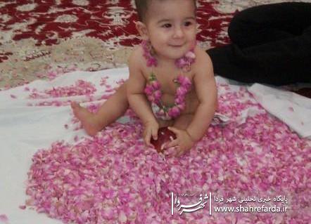 عکس نوزاد گل محمدی
