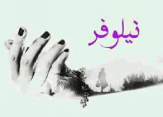 عکس نوشته های نیلوفر