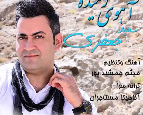 عکس آهوی رمیده