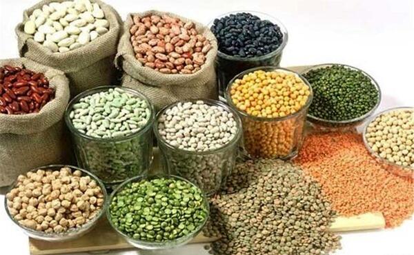 عکس حبوبات لپه
