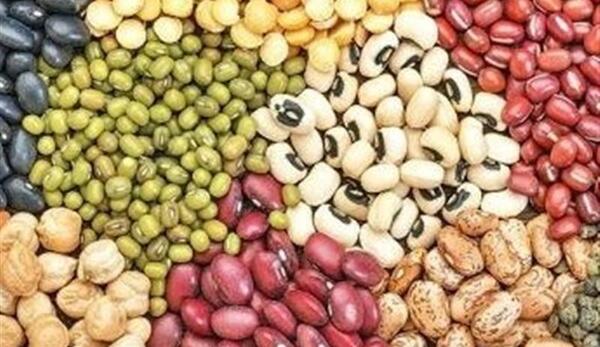 عکس حبوبات لپه