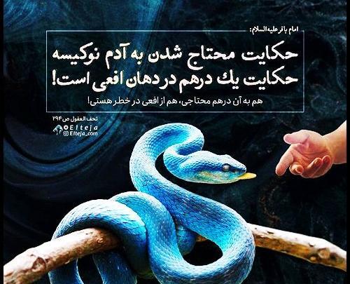 عکس نوشته حدیث از امام محمد باقر