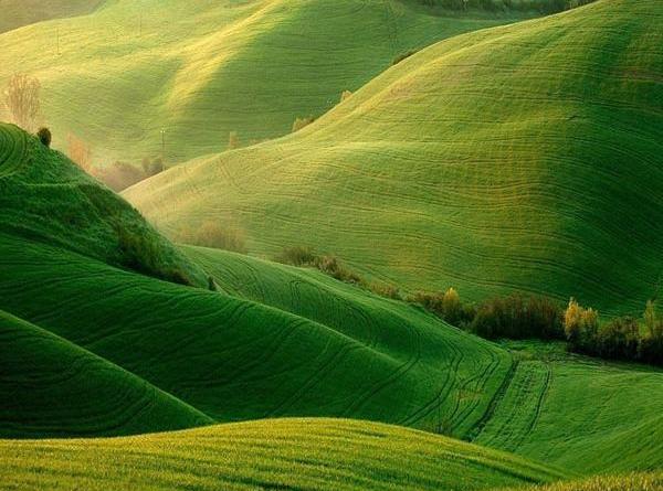 عکس طبیعت زیبا سبز