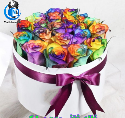 عکس نوشته روز خاله