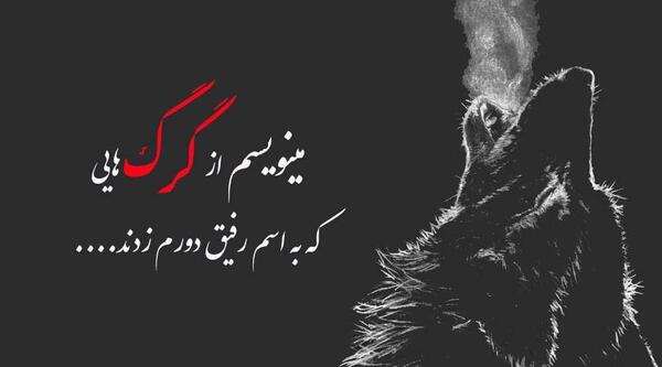 عکس نوشته گرگ غمگین