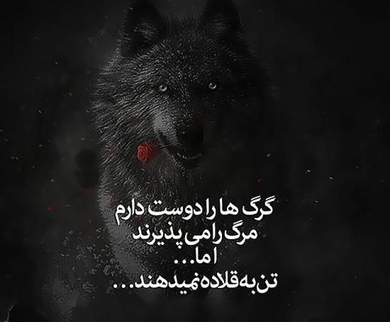 عکس نوشته گرگ غمگین