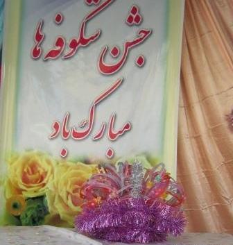 عکس جشن شکوفه های مدارس