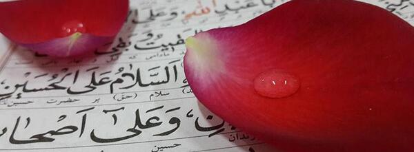 عکس شهادت دایی