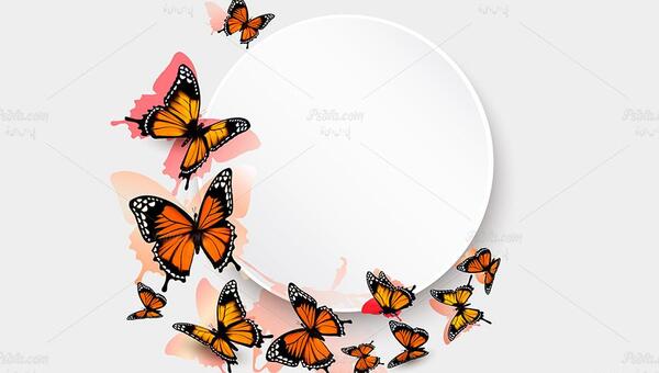 عکس پروانه قلبی