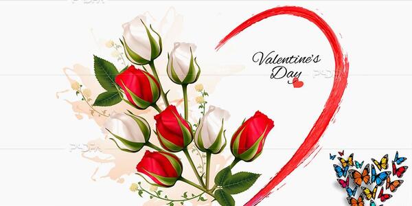 عکس پروانه قلبی