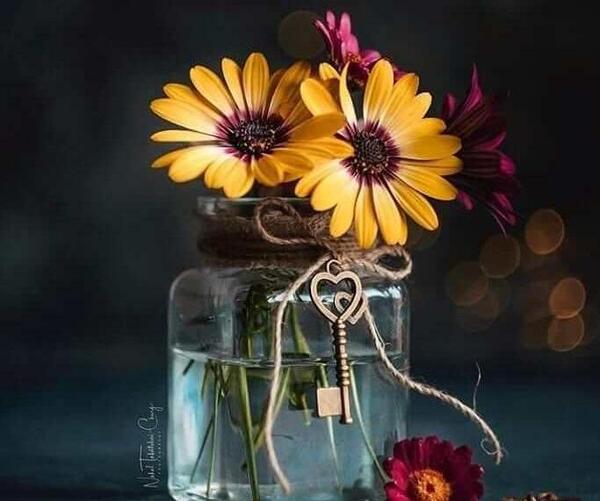 طبیعت عکس گلهای زیبای جهان