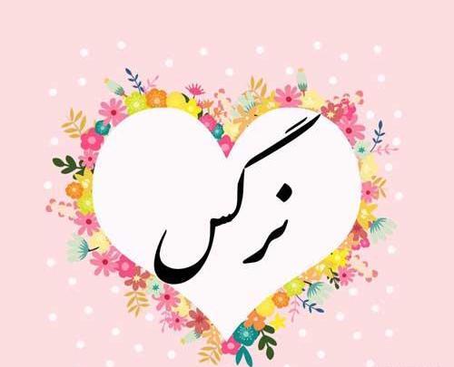عکس نوشته نام نرگس