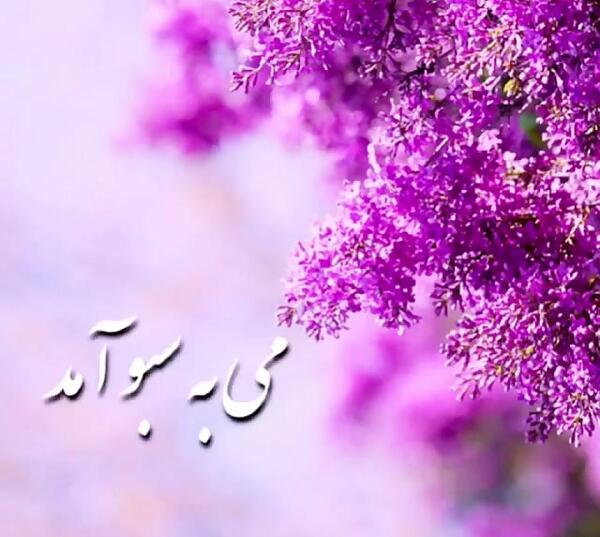 عکس بهاری و شاد