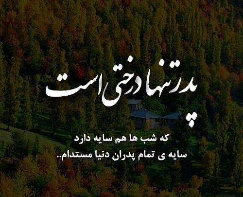عکس نوشته پدر یعنی کوه