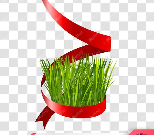 عکس وکتور سبزه عید