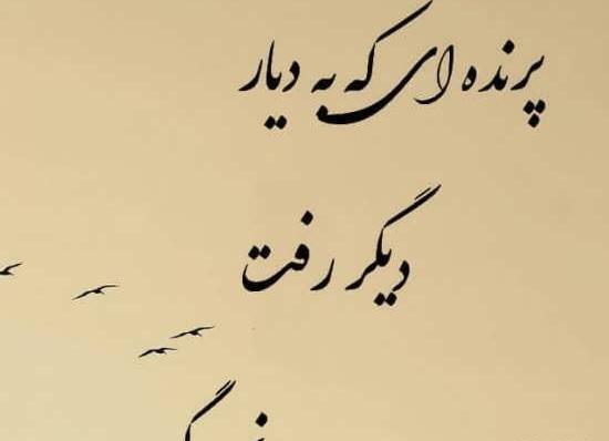 عکس نوشته زیبا فلسفی