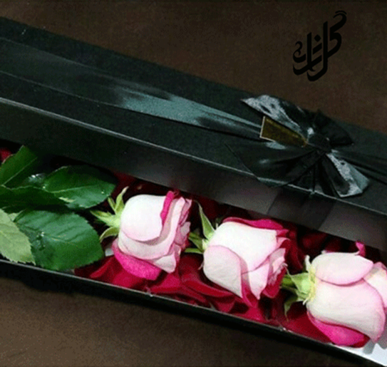 عکس شاخه گل رز