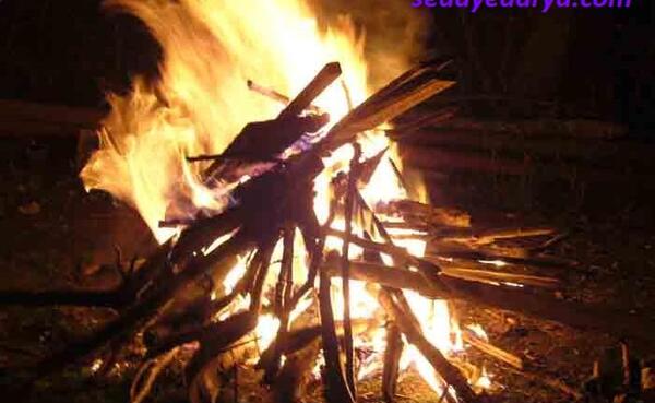 عکس آتش شب