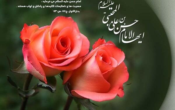 عکس امام حسن مجتبی ولادت