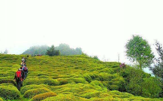 عکس تصاویر زیبا از طبیعت ترکیه