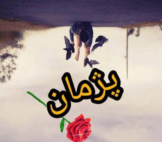 عکس نوشته تولد شهلا