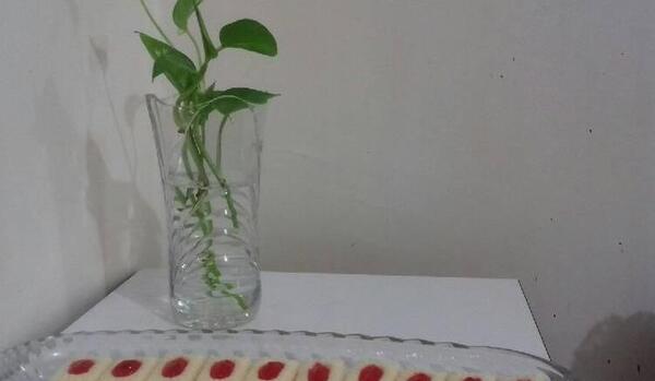 عکس شیرینی شکوفه نارگیلی