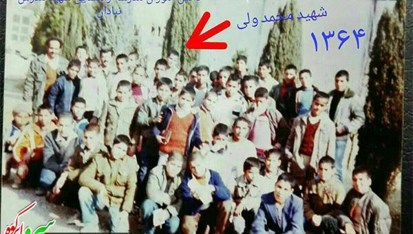 عکس پارسا فاتحی